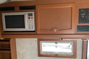電子レンジも有り便利(外部充電中のみ使用可)