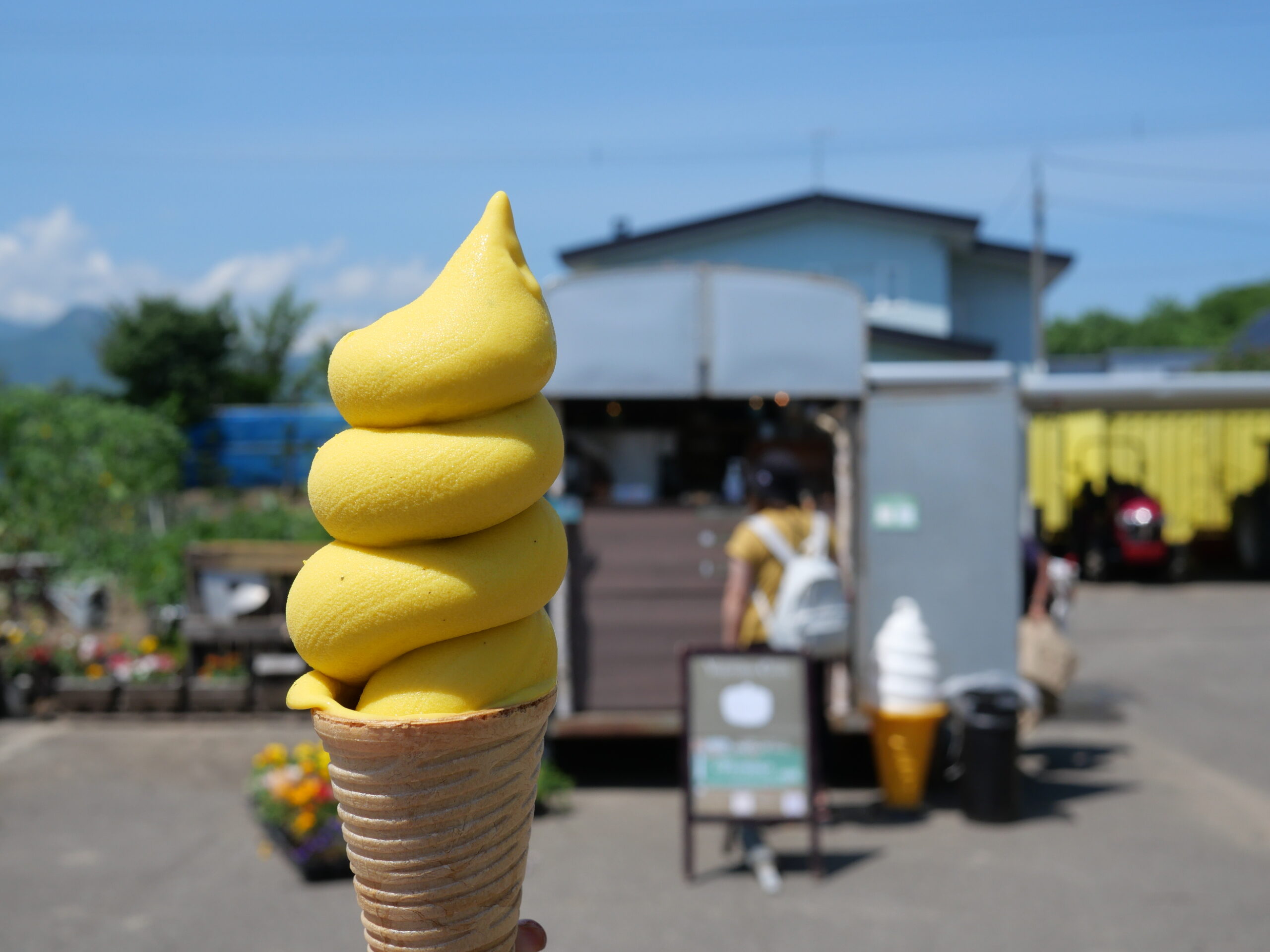 バラエティ豊かなソフトクリーム３選＠札幌市内偏