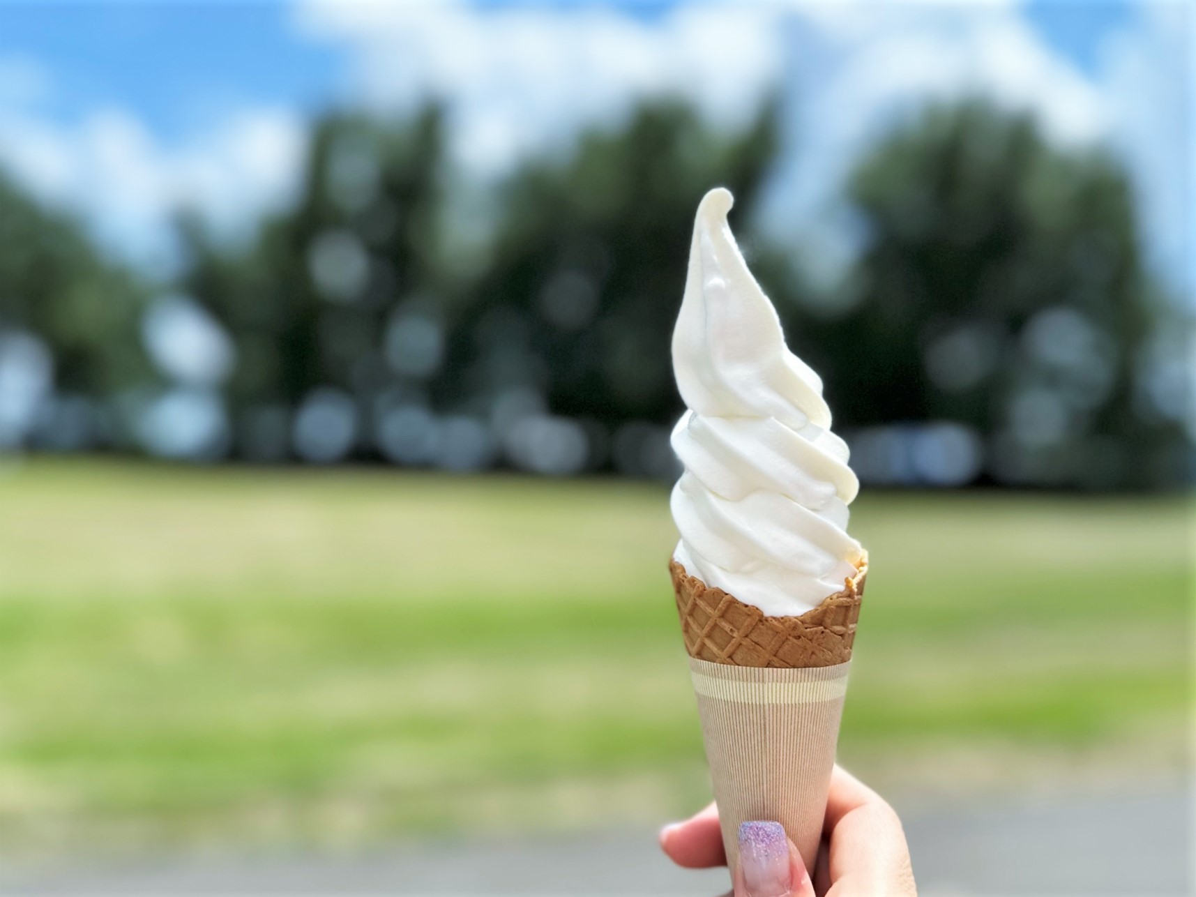 あの人気ソフトクリームが限定復活！！～札幌市内ソフトクリーム情報